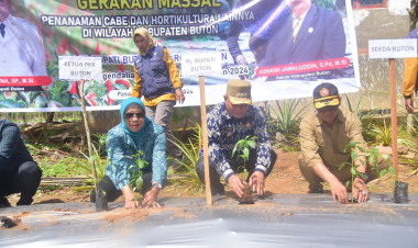 Pemkab Buton Galakkan Gerakan Menanam